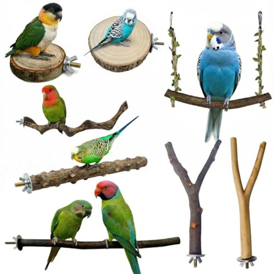 Health & Wellness Equipment - 8 perchoirs en bois naturel pour